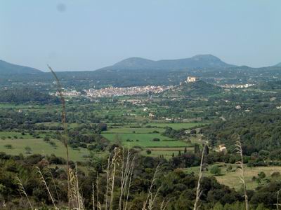 DSCF0081.JPG